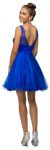Illusion Sweetheart Neck Short Tulle Homecoming Party Dress back